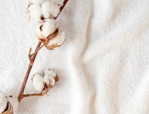 Explorando el mundo del algodón: Del tejido a la moda en 2024