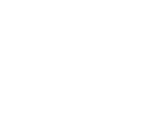 White woventa logo with transparent background.